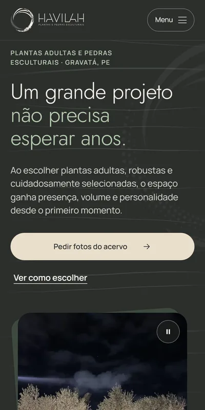 Site Havilah no celular