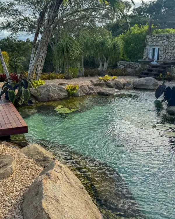 Lago residencial com deck de madeira, pedras e plantas aquáticas