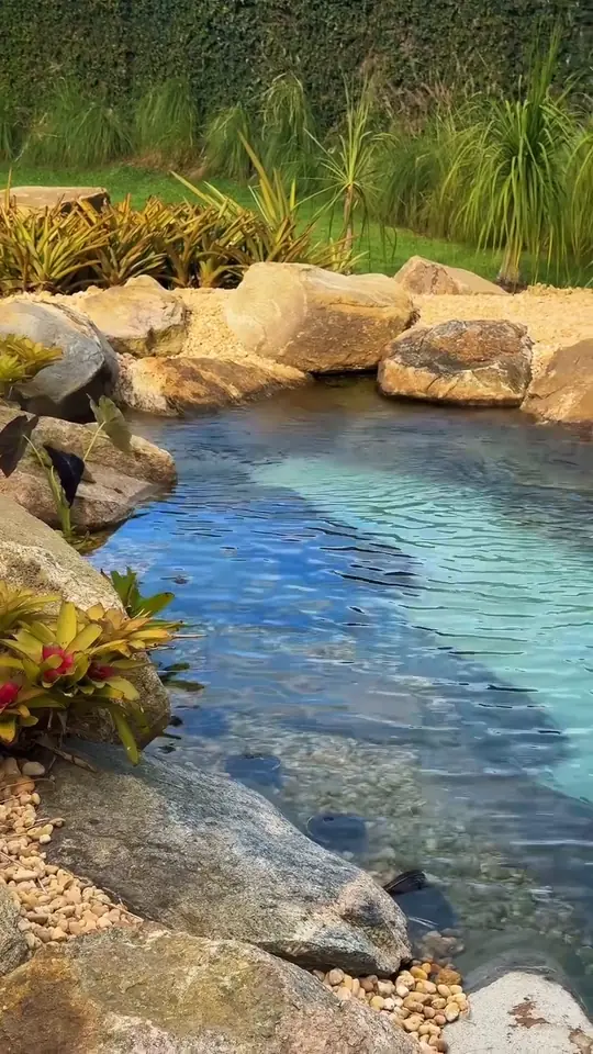 Lago de água clara com bordas de pedra e vegetação