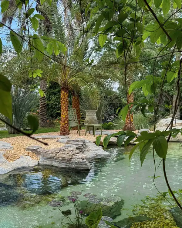 Lago do showroom Genesis em Gravatá entre tamareiras e pedras