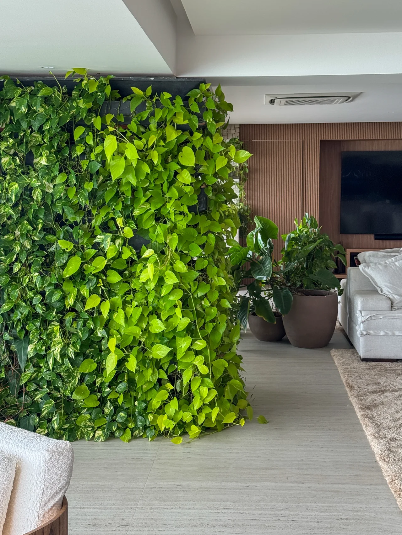 Parede vegetada e plantas em vasos integradas à sala do apartamento.