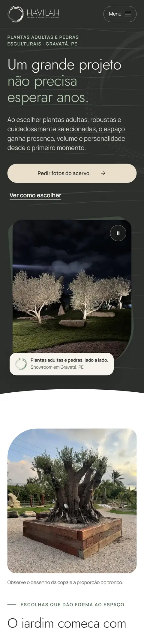 Site Havilah no celular