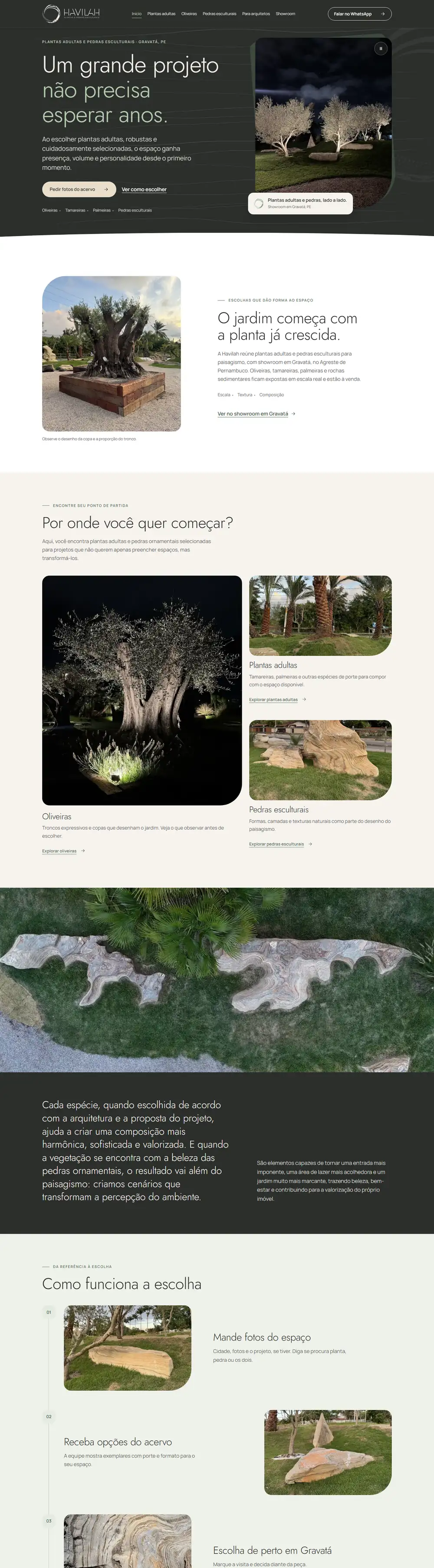 Site Havilah no computador
